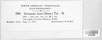 Uromyces junci image